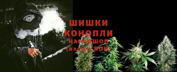 дживик Беломорск