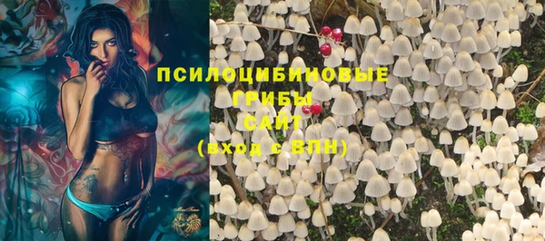 дживик Беломорск