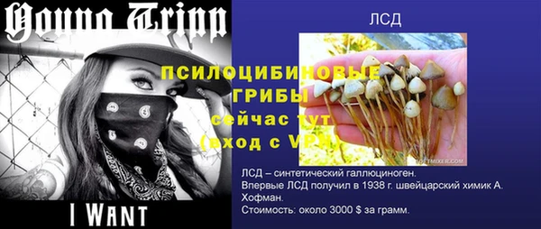 первитин Белоозёрский